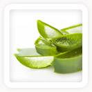 Aloe Vera Extract